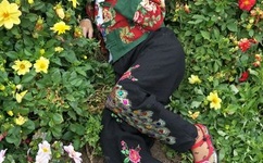 暖暖社区免费观看高清完整版